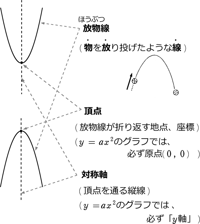 y=ax ^2のグラフの各部名称